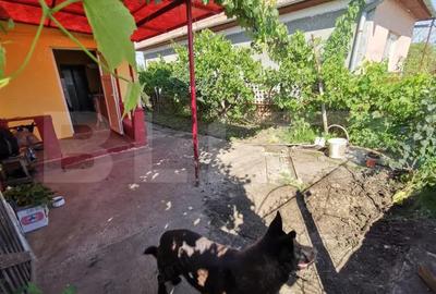 Casa renovabila, 2 camere, zona Cetate - 13