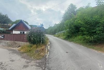 Casa de in Saliste aproape de Transalpina - 2