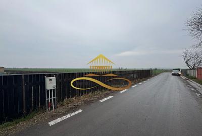 Teren de vanzare Filipesti Bacau 6838 mp - 11