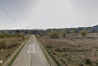 Spațiu comercial, în Bucium