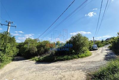 Teren de 708 mp, în Bârnova - 4