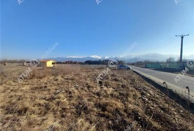 Teren intravilan 3000 mp de vanzare pe Valea Avrigului drum asfaltat - 5