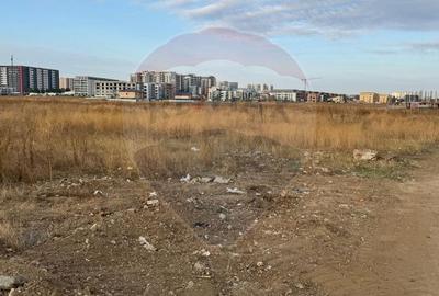 Teren 9400 mp Strada Gura solcii - 6