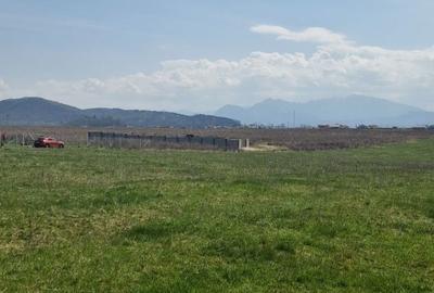 Teren de 750 mp, în Bod - 3