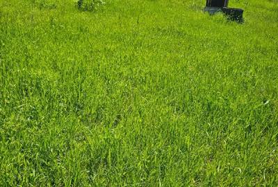 Casă cu Teren 2900 Mp în Central