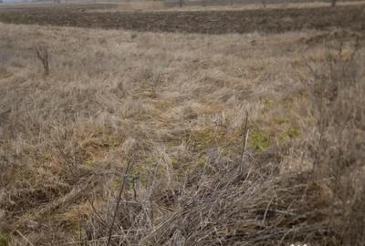 Teren de 5550 mp, în Dragomirești - 2