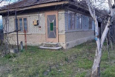 Casă cu 3 camere în Homești