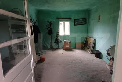 Casa renovabila ,spatioasa,cu un teren generos si gradina in - 13