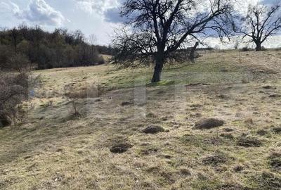 Teren extravilan in suprafata de 7500 mp la poalele Mesesului - 8