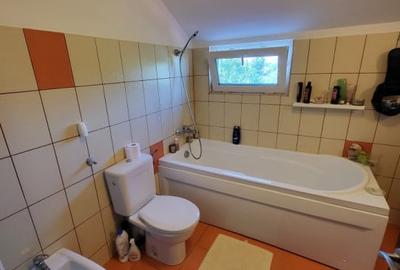 Casa Serbanesti( la 10 minute de Centrul Bacaului) - 6
