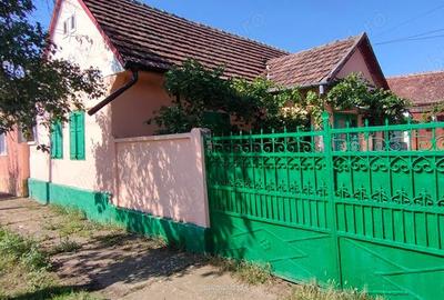 Casă cu 4 camere cu Teren 3000 Mp în Alioș - 13