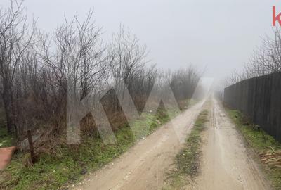 Teren Construcții intravilan de 949 mp, în Malu Mare - 7