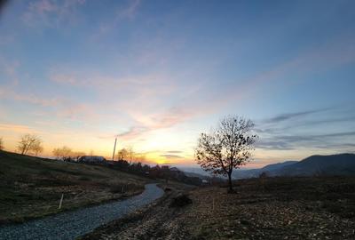 Fragilor, 8 ari -1ha teren - 1