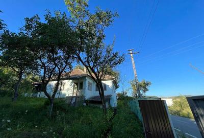 Casă cu 3 camere în Budurleni - 6