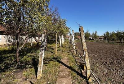 Casă cu 4 camere în Iratoșu - 1