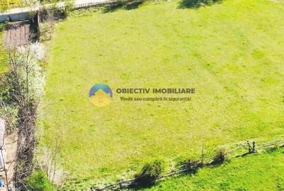 Teren Construcții intravilan de 2000 mp, în Cuejdiu - 4