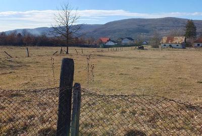 Spațiu comercial, în Mihăești - 10