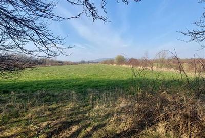 Teren Construcții extravilan de 34100 mp, în Central - 1