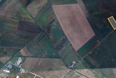 Teren de 20500 mp, în Șura Mică - 1