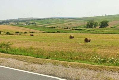 Teren de 5300 mp, în Tureni - 2