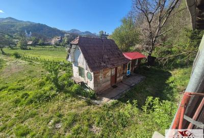 Casă individuală cu 3 camere cu Teren 2834 Mp în Ocoliș - 4