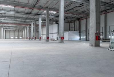 Spațiu industrial, 249500 mp în Chitila - 7