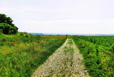 28.554 mp TEREN EXTRAVILAN, TURDA - SĂNDULEȘTI, jud. CLUJ, 300 m de AUTOSTRADA - 37