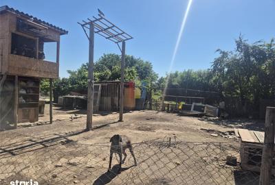 Casă cu 3 camere cu Teren 1150 Mp în Obor - 7
