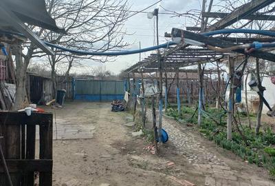 Casă cu Teren 3000 Mp în Bârca - 4