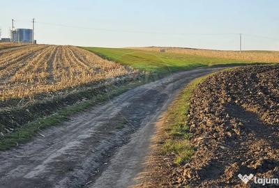 Teren de 30077 mp, în Stroiești - 12