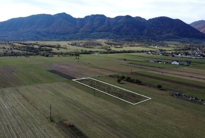 TEREN INTRAVILAN ZONA PENNY - 4