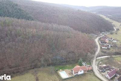 Casă cu 4 camere cu Teren 1625 Mp în Păuliș - 1