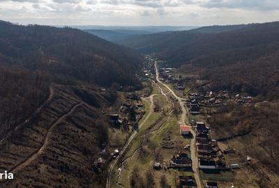 Spațiu comercial, în Central - 20