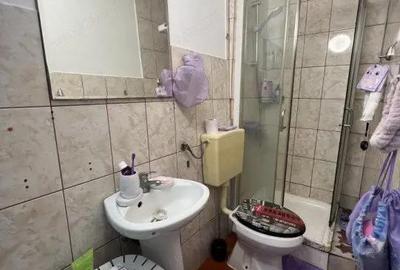 Apartament cu o camera de vanzare in zona Elisabetin - 5