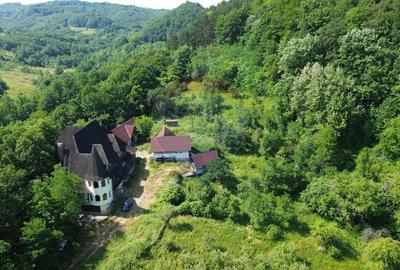 Casă cu 10 camere cu Teren 24700 Mp în Berchezoaia - 7