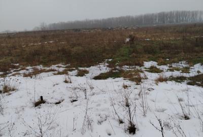 Teren de 1000 mp, în Cârcea