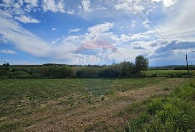 Teren extravilan 12000 mp- Padureni-?endriceni, Boto?ani - 4