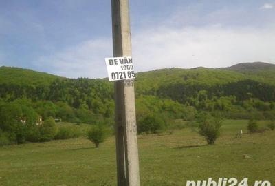 Teren de 1900 mp, în Sud - 6