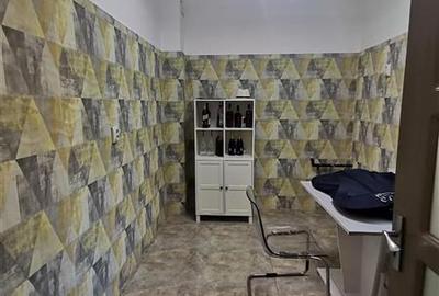 Timpuri Noi  vila 2023 P+3, 11 camere  4 bai - 15