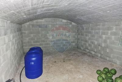 Oaza de liniste: casa cu livada si teren generos - Girov - 34