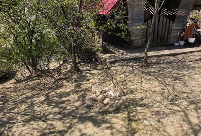 Casă cu 2 camere cu Teren 3000 Mp în Central - 7