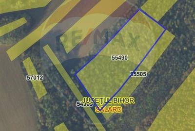 Teren de 15618 mp, în Sălard - 8