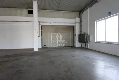 Hala 800 mp-acces TIR-grup sanitar-toate utilitatile-parcare-4 EUR/mp - 6