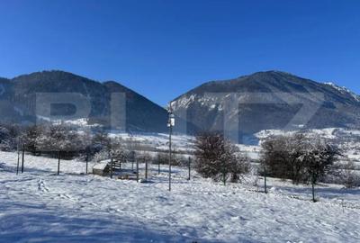 Teren de 1000 mp, în Tohănița - 2