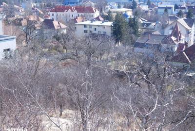 Teren de 980 mp, în Grigorescu - 1