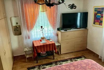 Casa de vacanta de vanzare - 11