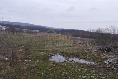 Teren Construcții intravilan de 7500 mp, în Băicoi