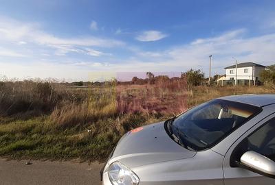 Teren în Giurgiului - 24