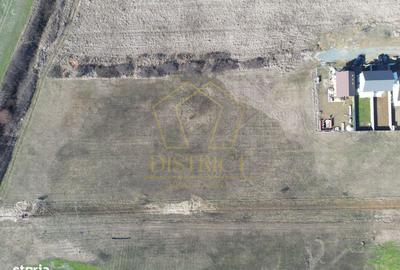 Spațiu comercial, în Moșnița Nouă - 4