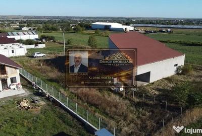Casă cu 2 camere cu Teren 1500 Mp în Munteni - 5
